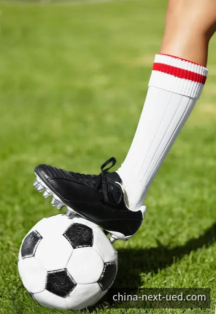 UED实时赛事分析与绿茵场战术分布